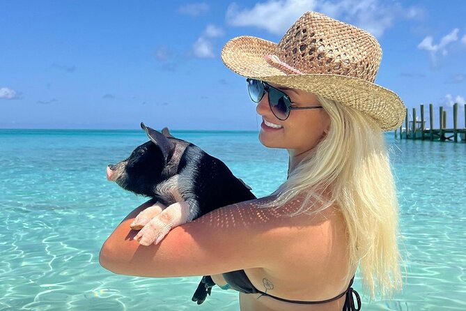 Rose Island Swimming Pigs & Beach Snorkeling Experience Nassau. - Key points to know before you book