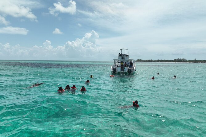 Rose Island Swimming Pigs & Beach Snorkeling Experience Nassau. - The Rose Island experience in one short trip