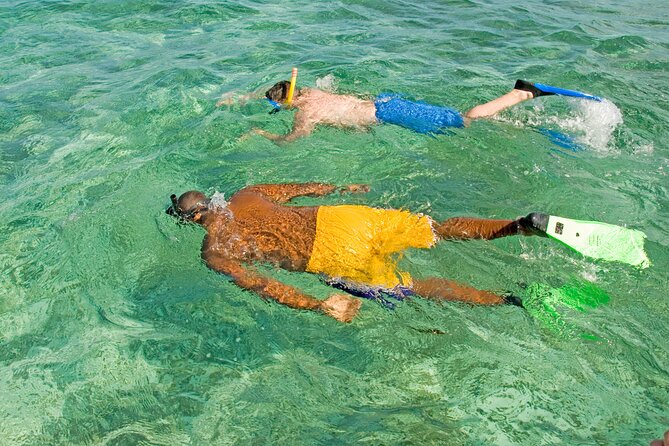 Rose Island Swimming Pigs & Beach Snorkeling Experience Nassau. - Snorkeling from the Rose Island beach