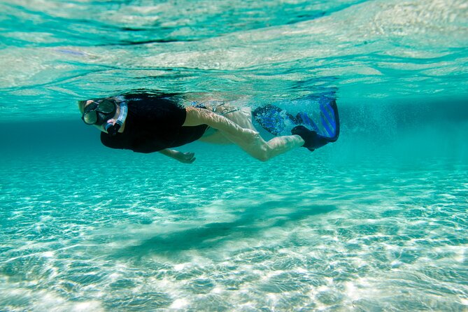 Rose Island Swimming Pigs & Beach Snorkeling Experience Nassau. - How the $79 price works for you