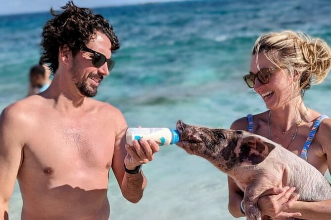 Rose Island Swimming Pigs & Beach Snorkeling Experience Nassau. - The timing issue you should take seriously