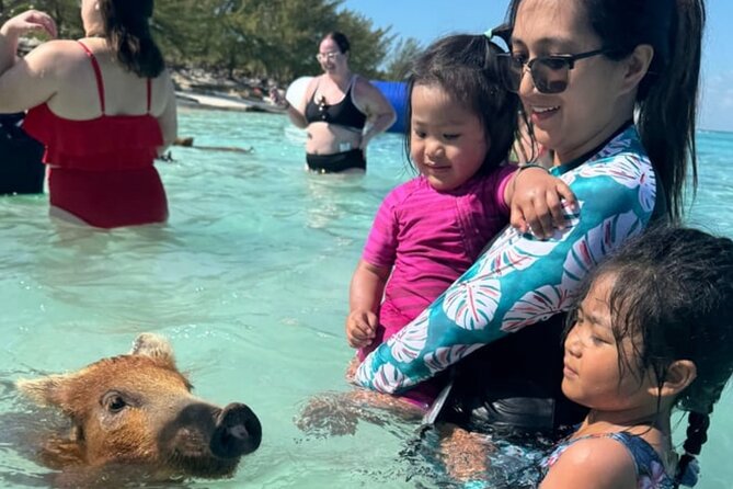 Rose Island Swimming Pigs & Beach Snorkeling Experience Nassau. - Who will enjoy this outing most