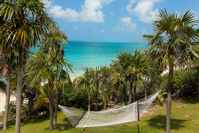 Sandy Toes The Original Rose Island and Swimming Pigs Tour - A Bahamian lunch and open bar
