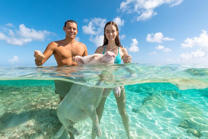 Sandy Toes The Original Rose Island and Swimming Pigs Tour - What the $258 price really covers