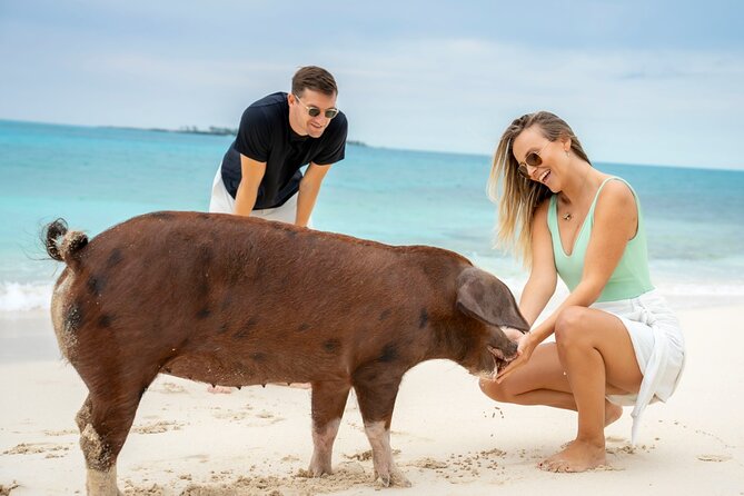 Sandy Toes The Original Rose Island and Swimming Pigs Tour - Who will enjoy this Rose Island day