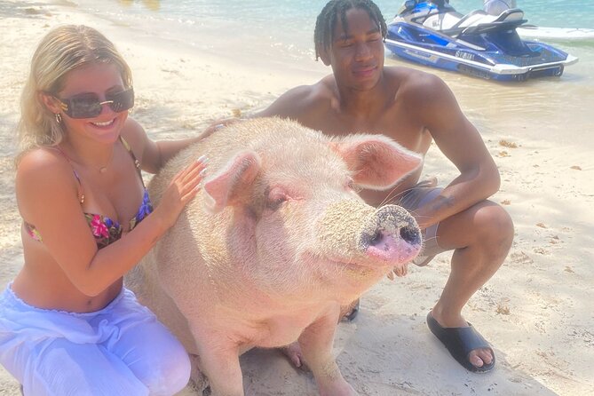 Self Drive Speedboat and Swim with the Pigs - Weather, cancellation, and simple planning details