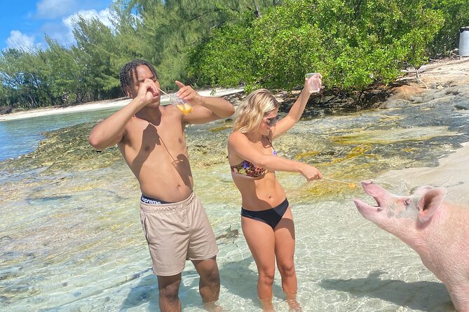 Self Drive Speedboat and Swim with the Pigs - The best way to judge the boat ride
