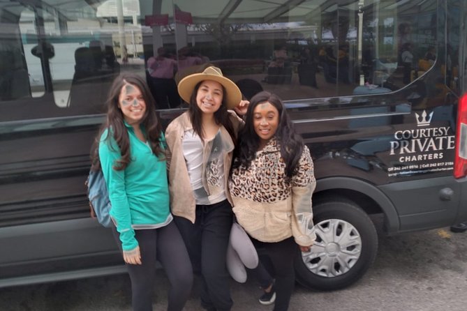 Small Group/ Family Private Roundtrip Airport Shuttle - Airport arrival: the meet-and-greet details