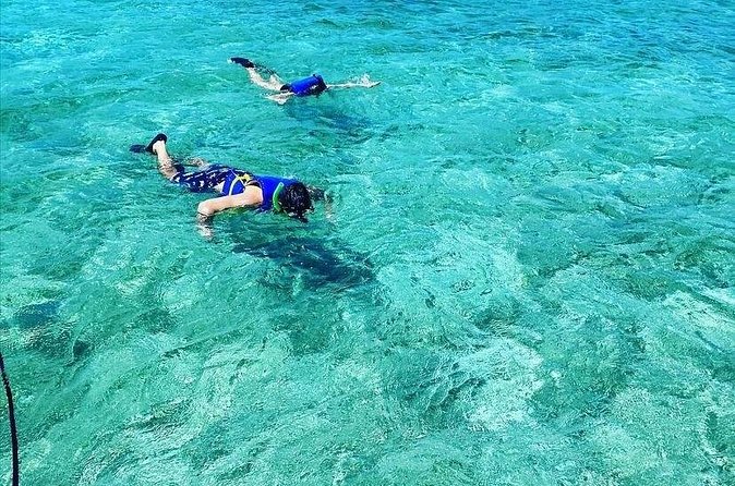 Small-Group Snorkeling Experience at Sea Garden - Leaving Harbour Central Marina in Nassau