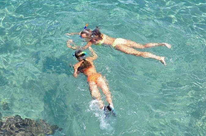 Small-Group Snorkeling Experience at Sea Garden - Is $128.21 a fair price?