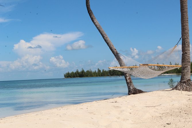 Snorkel/Swim with the Turtles Experience - A turtle swim with a full island afternoon attached