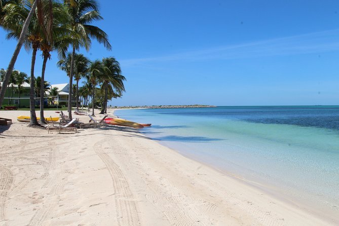 Snorkel/Swim with the Turtles Experience - How Hida’s personal style affects the day