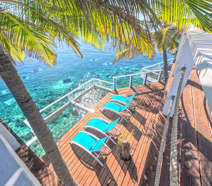 SunCay Private Oceanview Villa up to 6 with Lunch and Ferry - Snorkeling at the reef, shipwreck, and statue garden