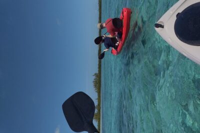 Sweetings Cay Mangrove Kayaking and Turtles