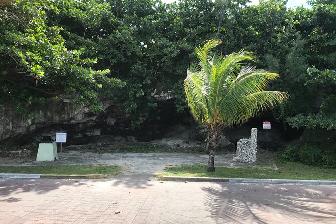 Swim with the Pigs and Explore Caves in Nassau - Key points to know before you book