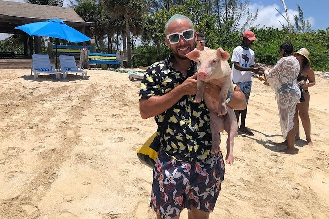 Swim with the Pigs and Explore Caves in Nassau - Pigs, caves, and a full Nassau day in half a day