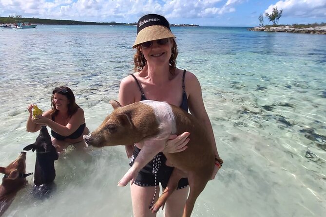 Swim with the Pigs and Explore Caves in Nassau - What the ratings tell you