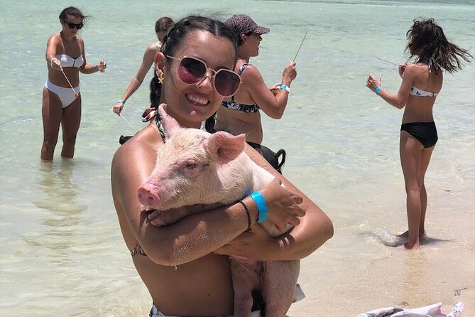Swim with the Pigs and Explore Caves in Nassau - Who will enjoy this Nassau excursion?