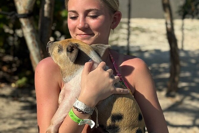 Swim with the Pigs Freeport @Creative Eco Adventures - What you receive for $71.50