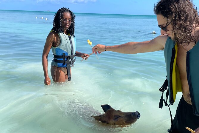Swim with the Pigs Freeport @Creative Eco Adventures - Photos, feeding, and the right expectations