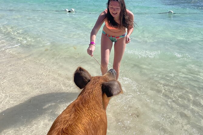Swim with the Pigs Freeport @Creative Eco Adventures - Location, access, and practical planning