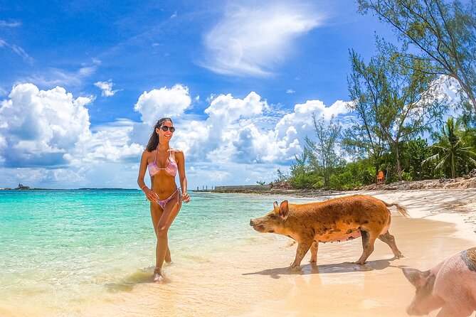 Swimming Pigs and Pearl Island Beach Escape - Who will enjoy this most?