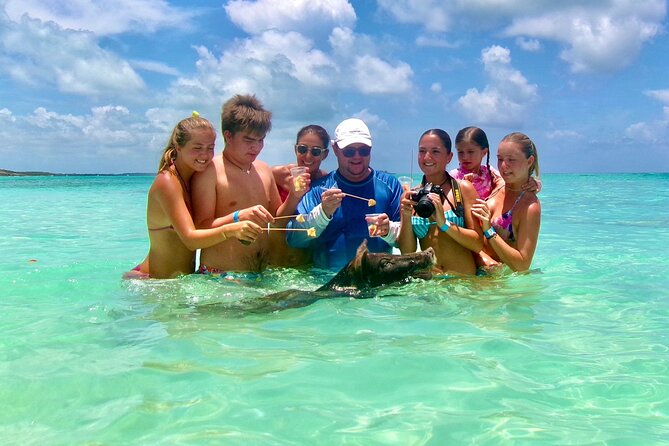 Swimming Pigs and Private Beach Club Escape - The value of $149 per person