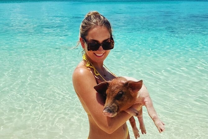 Swimming Pigs and Private Beach Club Escape - Getting from Nassau to Rose Island