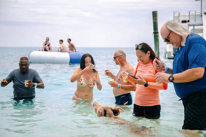 Swimming Pigs Of Rose Island Water Taxi Nassau Bahamas - Families, swimmers, and first-time Nassau visitors