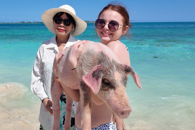 Swimming Pigs, Snorkeling and Beach Tour in Nassau Bahamas - Who will enjoy this tour most?