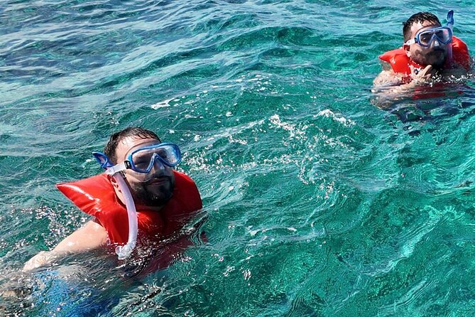Swimming Pigs, Snorkeling and Beach Tour in Nassau Bahamas - Final decision: book it for variety, not pure wildlife