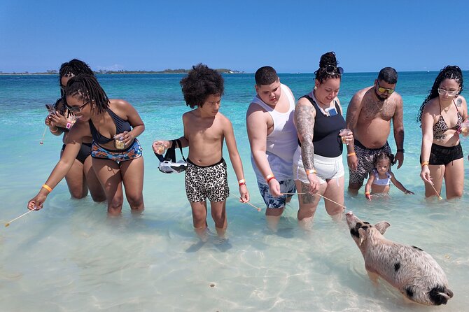 Swimming Pigs, Snorkeling and Beach Tour in Nassau Bahamas - Cruising past Atlantis and Nassau’s waterfront
