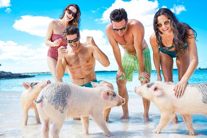 Swimming Pigs, Turtles & Reef Snorkel in Nassau-Champion Tours - Key points to know before you book