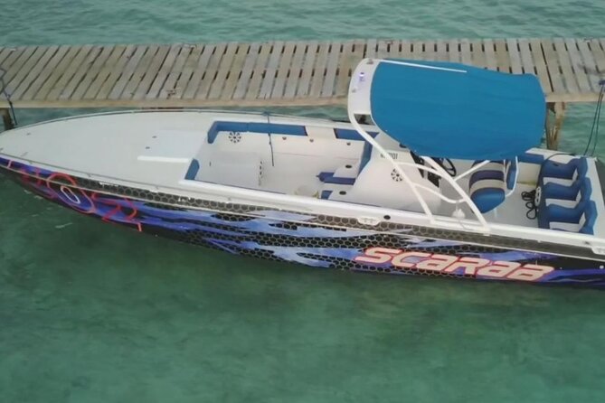 Swimming Pigs, Turtles & Reef Snorkel in Nassau-Champion Tours - Snorkeling with equipment already on board