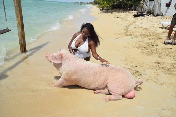 Swimming with Pigs in Nassau, Transportation Included - Getting From Nassau to Fort Montagu