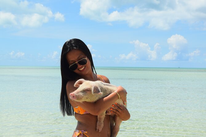 Swimming with Pigs in Nassau, Transportation Included - Feeding, Petting, and Swimming With the Pigs