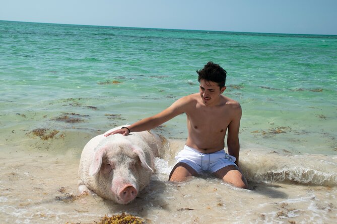 Swimming with Pigs in Nassau, Transportation Included - Lunch, Drinks, and the Value of the Package