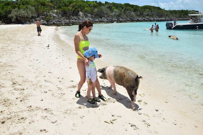 Swimming with Pigs in Nassau, Transportation Included - Family Suitability and Comfort