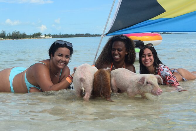 Swimming with Pigs in Nassau, Transportation Included - What the Staff Adds to the Day