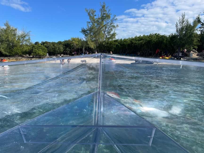 The Clear Boat Experience Bahamas drinks and snacks included - The sea garden and the search for fish