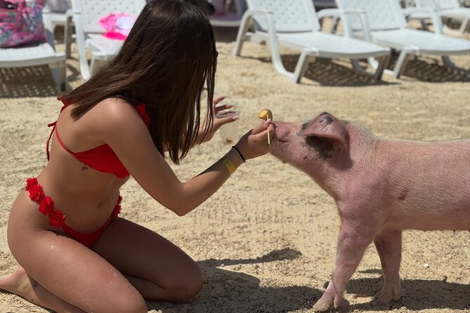 The Ultimate Bahamian Beach Day: Pigs, Jet Ski, Snorkeling & More - Timing, meeting point, and weather concerns
