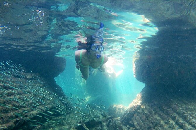 Top 4 Snorkeling Adventures in Bimini - Shark Arena and the final rush