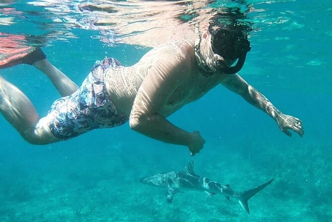 Top 4 Snorkeling Adventures in Bimini - Why the small group matters