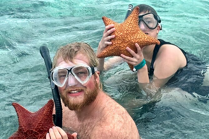 Top 4 Snorkeling Adventures in Bimini - The SS Sapona, a ship with several past lives