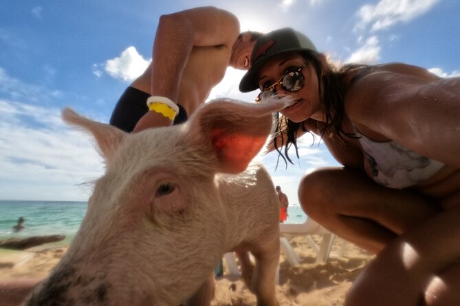 Ultimate SeaXscape Pigs/Turtles/Snorkel/Lunch/Drinks/PU/DO - A packed morning on Nassau’s water