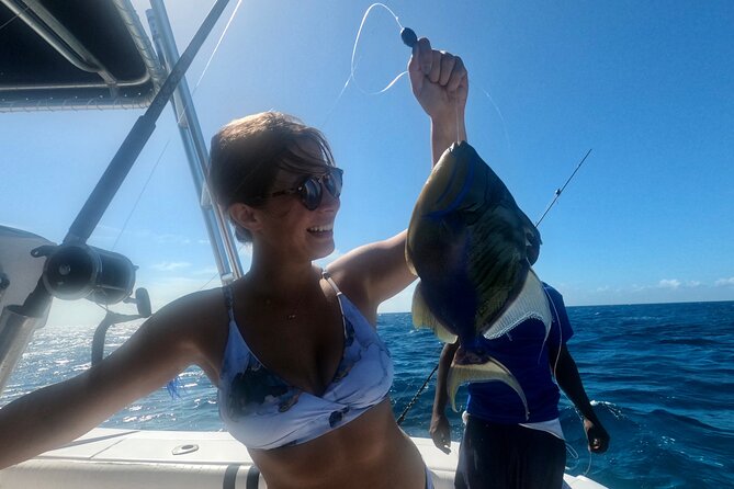 Ultimate SeaXscape Pigs/Turtles/Snorkel/Lunch/Drinks/PU/DO - Coral reefs and colorful fish at Rose Island
