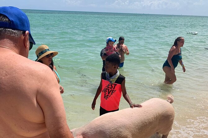 Ultimate SeaXscape Pigs/Turtles/Snorkel/Lunch/Drinks/PU/DO - Lunch, conch, snacks, and drinks